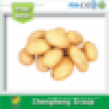 Export neue frische Kartoffel (70-100g, 80-150g, 100-200g, 200g hoch)